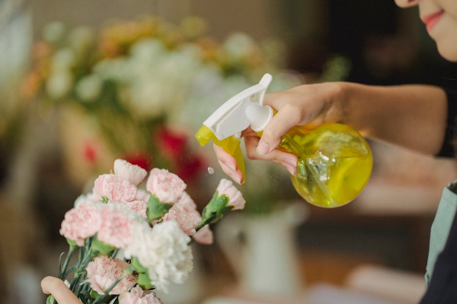Close-up of a florist's hand holding a bouquet of light pink and white carnations, with visible green stems, as they spray a fine mist of water from a yellow spray bottle. The background features blur