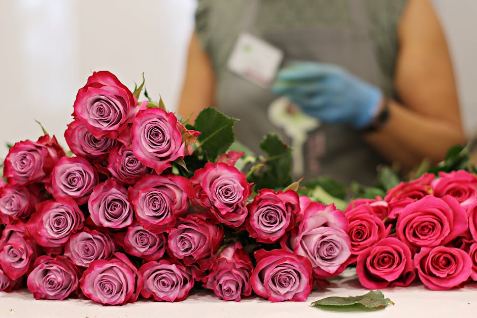 A large bouquet of fresh pink roses with tightly layered petals, arranged on a white surface in front of a blurred background with a person wearing a grey top and blue gloves, holding a white card. Th
